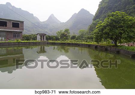 "Karst mountains reflected in a village rice paddy, Yangshuo, China" View Large Photo Image Stock Image - "Karst mountains reflected in a village rice paddy, Yangshuo, China". Fotosearch