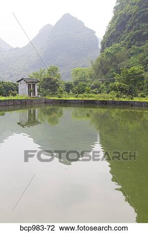 Stock Image - "Karst mountains reflected in a village rice paddy, Yangshuo, China". Fotosearch