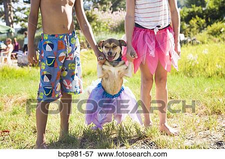 Small dog in a tutu with his paws held up by children View Large Photo Image Stock Photo - Small dog in a tutu with his paws held up by children. Fotosearch