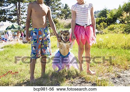 Stock Photograph - Small dog in a tutu with his paws held up by children. Fotosearch