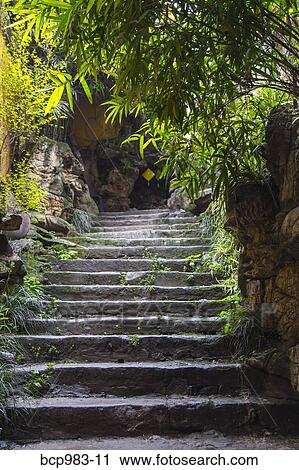 "Stone steps through a garden at Luohan Si Arhat Temple, Chongqing, China" View Large Photo Image Stock Image - "Stone steps through a garden at Luohan Si Arhat Temple, Chongqing, China". Fotosearch