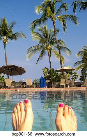 Woman's feet in front of a tropical swimming pool View Large Photo Image Stock Photograph - Woman's feet in front of a tropical swimming pool. Fotosearch