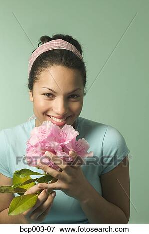 A woman holding a bouquet of pink flowers. View Large Photo Image Stock Photo - A woman holding a bouquet of pink flowers.. Fotosearch
