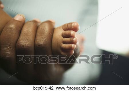 A mother holding her baby daughter's foot. View Large Photo Image Stock Image - A mother holding her baby daughter's foot. . Fotosearch