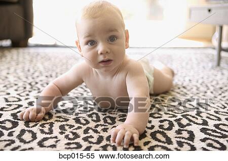Baby boy crawling on leopard print carpet. View Large Photo Image Stock Photography - Baby boy crawling on leopard print carpet.. Fotosearch