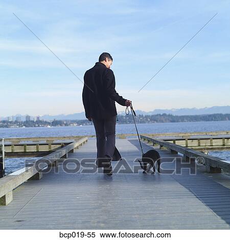 Rear view of woman walking her dog. View Large Photo Image Stock Photography - Rear view of woman walking her dog.. Fotosearch