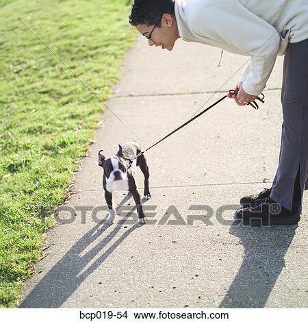 Young woman talking to her dog. View Large Photo Image Picture - Young woman talking to her dog.. Fotosearch