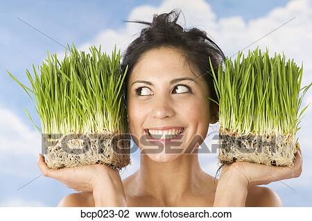 Woman holding pots of wheat grass View Large Photo Image Stock Image - Woman holding pots of wheat grass. Fotosearch