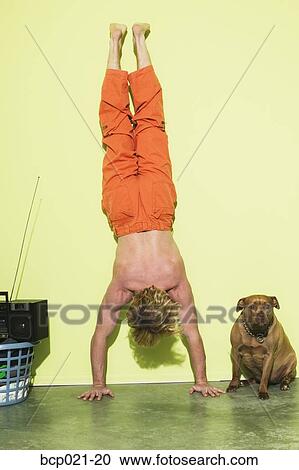 Man doing a handstand while his dog watches View Large Photo Image Stock Image - Man doing a handstand while his dog watches. Fotosearch