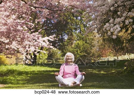 An older woman in a yoga position View Large Photo Image Stock Photo - An older woman in a yoga position. Fotosearch