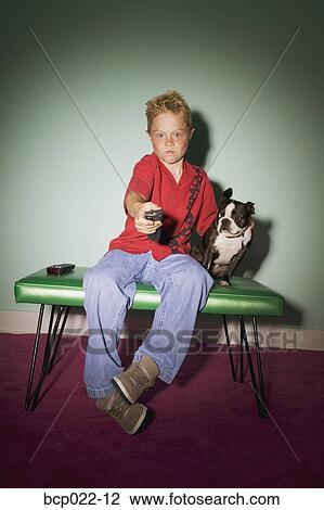 A boy and his dog watching television View Large Photo Image Stock Image - A boy and his dog watching television. Fotosearch