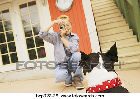 A boy photographing his dog View Large Photo Image Stock Photography - A boy photographing his dog. Fotosearch