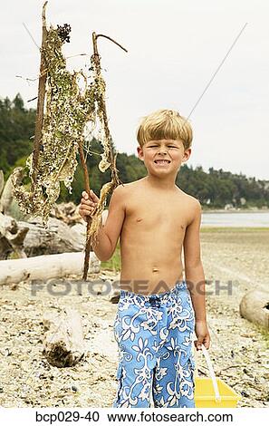Boy holding up dried seaweed View Large Photo Image Stock Image - Boy holding up dried seaweed. Fotosearch