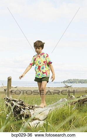 Boy walking on a log at the beach View Large Photo Image Stock Photograph - Boy walking on a log at the beach. Fotosearch
