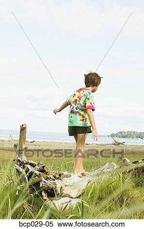 Boy walking on fallen log at the beach View Large Photo Image Stock Photography - Boy walking on fallen log at the beach. Fotosearch