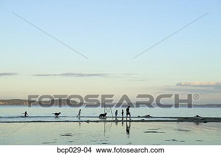 People at the shore at sunset View Large Photo Image Picture - People at the shore at sunset. Fotosearch