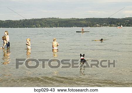 Spending a summer day in the water View Large Photo Image Stock Image - Spending a summer day in the water. Fotosearch