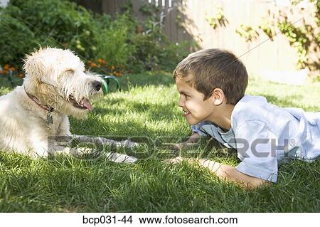 Boy and dog facing each other View Large Photo Image Picture - Boy and dog facing each other. Fotosearch