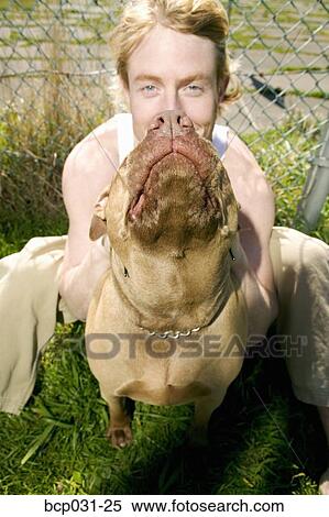 Man outdoors with Pit Bull View Large Photo Image Stock Photography - Man outdoors with Pit Bull. Fotosearch