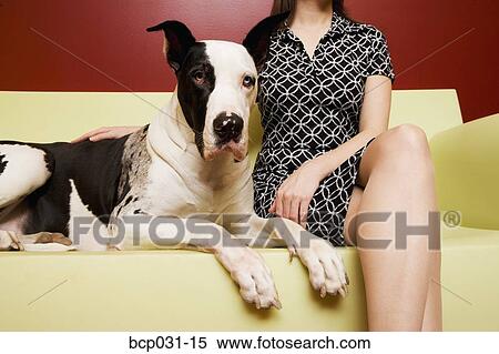 Woman sitting on couch with Great Dane View Large Photo Image Stock Photography - Woman sitting on couch with Great Dane. Fotosearch