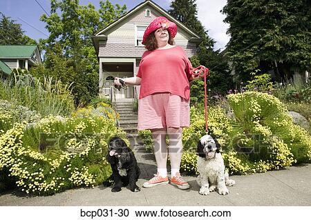 Stock Image - Woman with Cocker Spaniels. Fotosearch