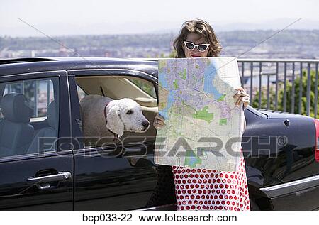 Woman reading map with dog View Large Photo Image Stock Image - Woman reading map with dog. Fotosearch