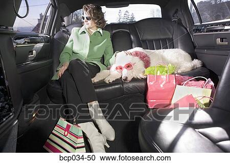 Stock Image - Woman and her Poodle sitting in limo. Fotosearch