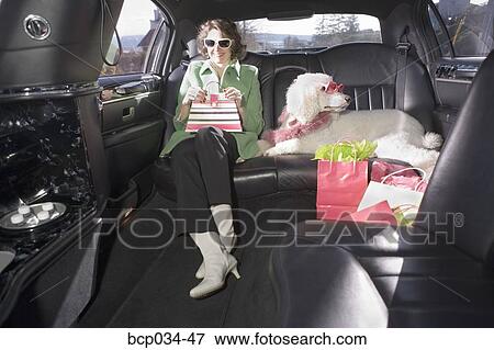 Woman and her Poodle sitting in limo View Large Photo Image Stock Photo - Woman and her Poodle sitting in limo. Fotosearch