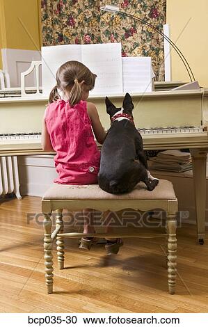 Dog watching girl play piano View Large Photo Image Stock Image - Dog watching girl play piano. Fotosearch