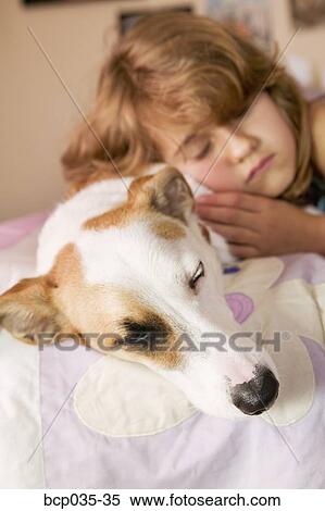 Girl and pet dog lying down on bed View Large Photo Image Stock Photography - Girl and pet dog lying down on bed. Fotosearch