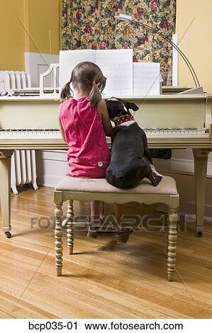Girl and pet dog sitting on piano bench View Large Photo Image Stock Image - Girl and pet dog sitting on piano bench. Fotosearch