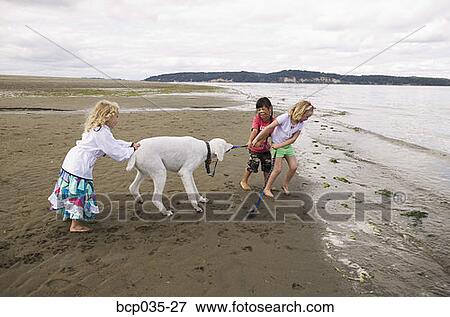 Stock Photo - Girls pulling dog into water. Fotosearch