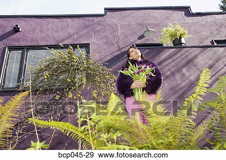 Woman holding bouquet of tulips View Large Photo Image Stock Photo - Woman holding bouquet of tulips. Fotosearch