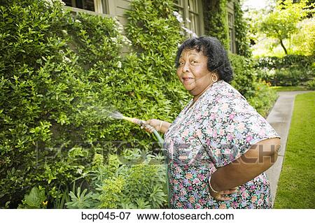 Stock Photo - Woman watering garden. Fotosearch