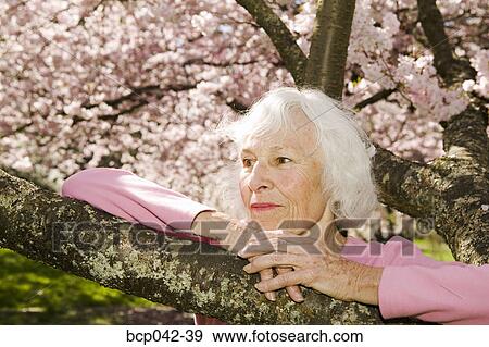 Older woman posing with flowering tree View Large Photo Image Stock Photo - Older woman posing with flowering tree. Fotosearch