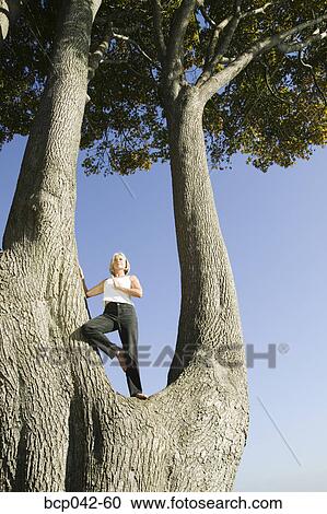 Stock Image - Woman doing yoga in huge tree. Fotosearch