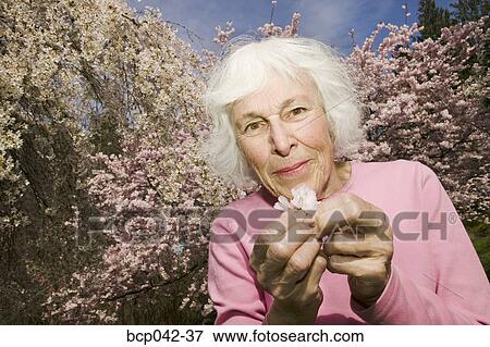 Woman holding blossom from tree View Large Photo Image Stock Photo - Woman holding blossom from tree. Fotosearch