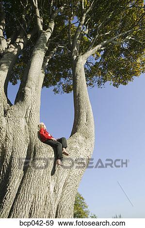 Woman relaxing in huge tree View Large Photo Image Stock Photo - Woman relaxing in huge tree. Fotosearch
