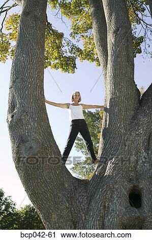 Stock Image - Woman standing in crook of huge tree. Fotosearch