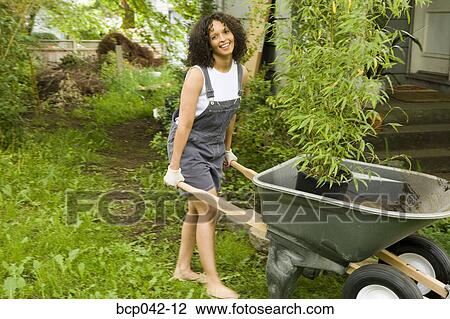 Woman with wheelbarrow working in yard View Large Photo Image Stock Image - Woman with wheelbarrow working in yard. Fotosearch