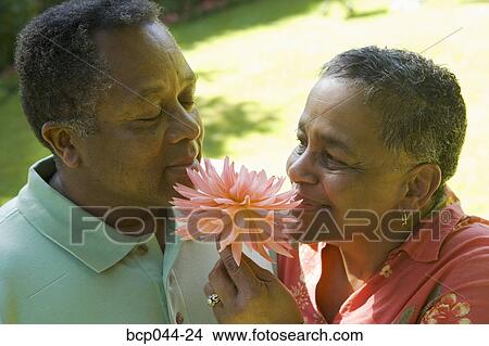 Picture - Couple inhaling a flower. Fotosearch