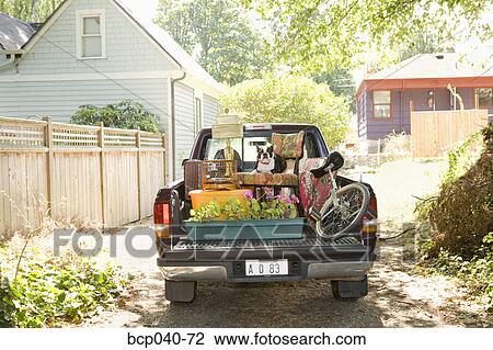 Loaded pickup and dog in driveway View Large Photo Image Stock Image - Loaded pickup and dog in driveway. Fotosearch