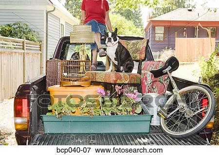Woman and her stuff loaded on a pickup truck View Large Photo Image Stock Photo - Woman and her stuff loaded on a pickup truck. Fotosearch
