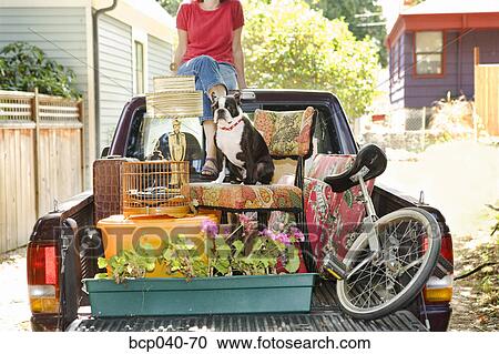 Woman with loaded pickup and dog View Large Photo Image Stock Image - Woman with loaded pickup and dog. Fotosearch