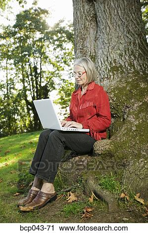 Woman with tree using laptop View Large Photo Image Stock Image - Woman with tree using laptop. Fotosearch