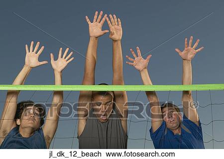 Young men jumping with their hands raised over a volley ball net View Large Photo Image Stock Image - Young men jumping with their hands raised over a volley ball net. Fotosearch