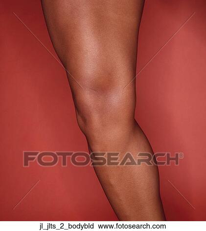 Stock Image - Close-up of the muscles on a young woman's leg. Fotosearch