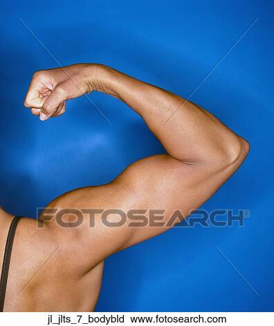 Rear view close-up of a young woman flexed arm View Large Photo Image Stock Image - Rear view close-up of a young woman flexed arm. Fotosearch