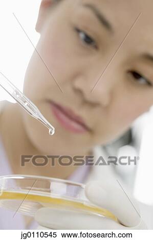 Stock Photography - Female scientist holding a Petri dish. Fotosearch