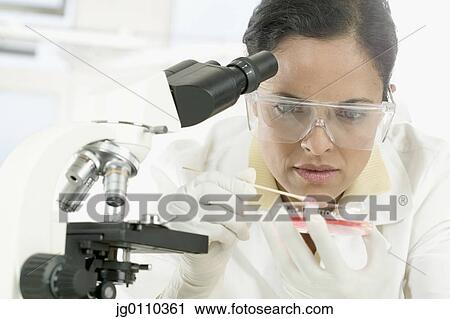 Female scientist mixing a solution in a Petri dish in front of a microscope View Large Photo Image Stock Image - Female scientist mixing a solution in a Petri dish in front of a microscope. Fotosearch